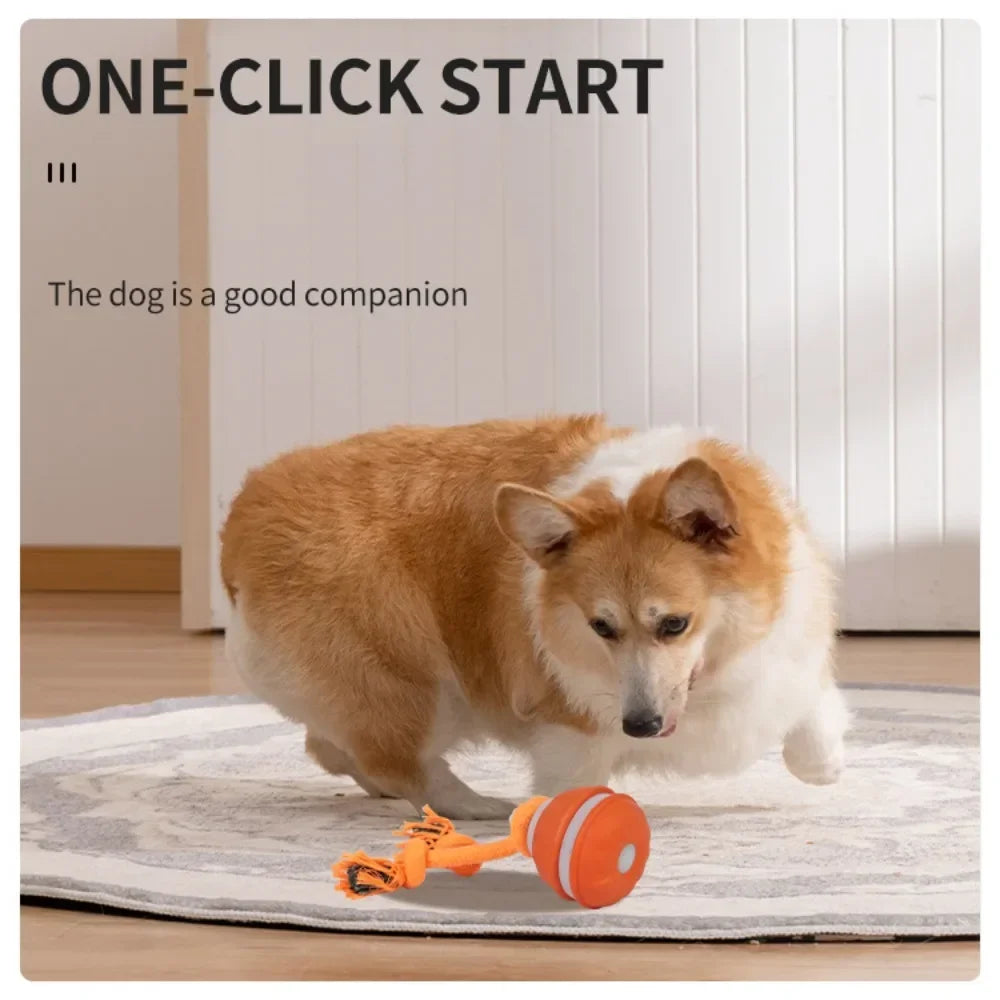 Jouet interactif pour chiens : balle roulante activée par le mouvement pour chiots et petits chiens – Jouet à déplacement automatique rechargeable par USB