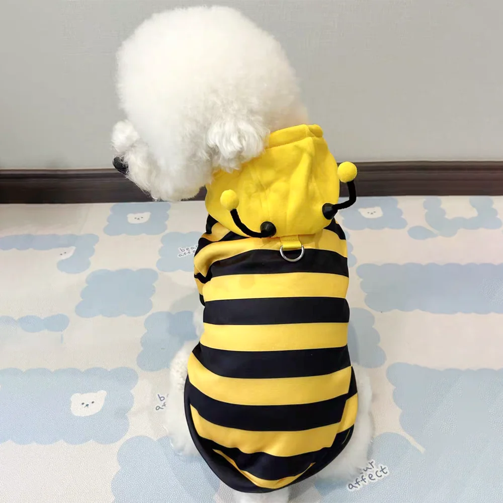 Costume d'Halloween pour animaux (chiens et chats) : sweat à capuche motif abeille – Tenue d'hiver pour petits et moyens animaux