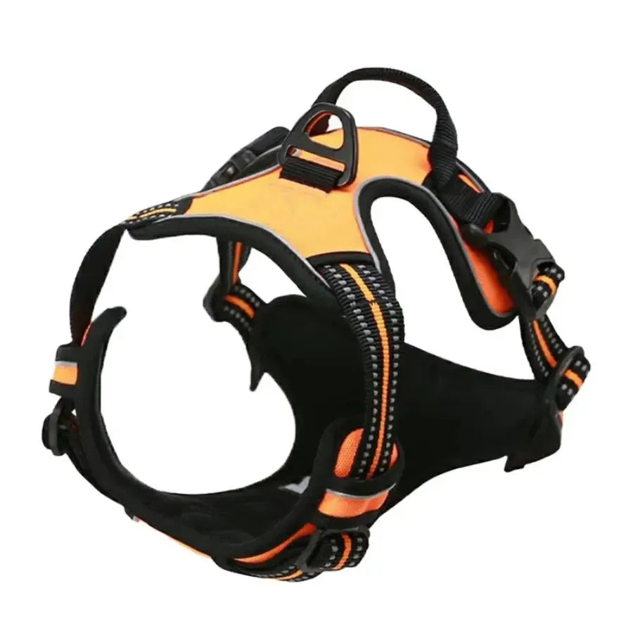 Colliers, harnais, laisses et accessoires pour chiens (toutes tailles) – Tout pour les chiens : cuir, modèles pour chiots, petits et grands chiens.