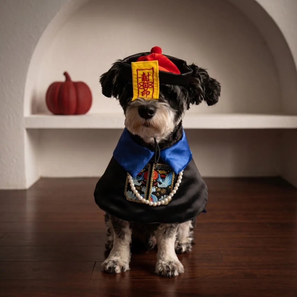 Accessoires pour animaux : vêtements d'Halloween mignons pour chiens, costume décoratif et original, tenue de zombie amusante (3 tailles disponibles).