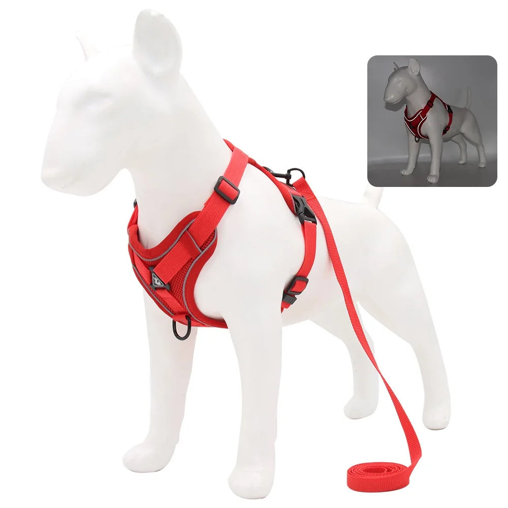 Ensemble harnais et laisse pour animaux – Harnais pour petits chiens