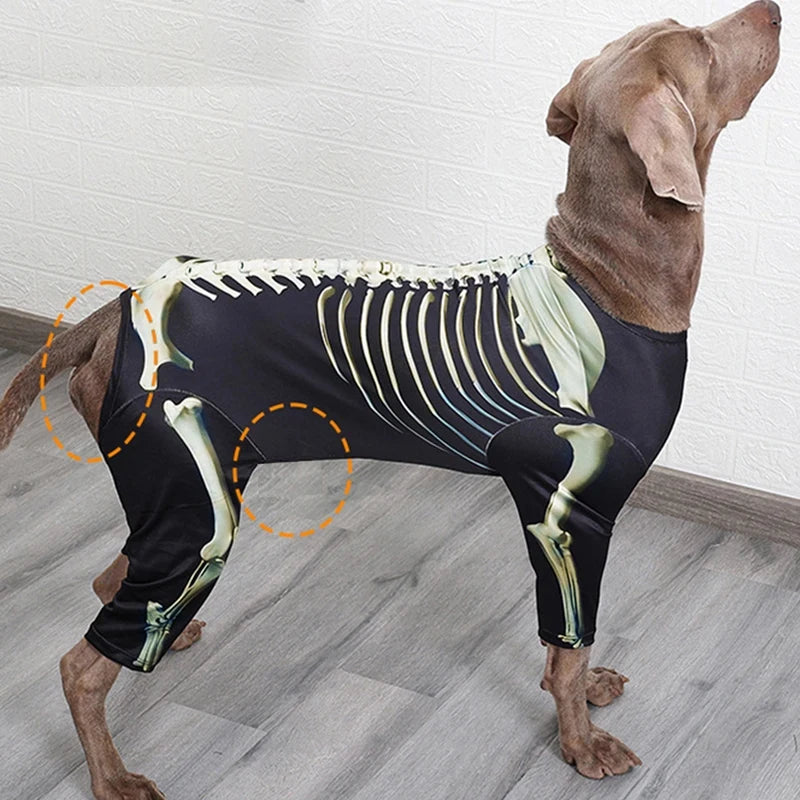 Costume d'Halloween pour chien – Tenue de transformation en squelette – Vêtement confortable et stylé pour grands chiens – Accessoires pour animaux