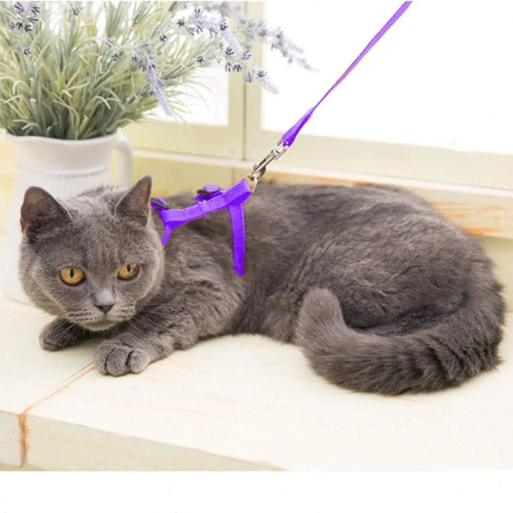 Ensemble harnais et laisse pour chaton – Harnais réglable en nylon anti-évasion pour chats, chiots et lapins – Accessoires pour animaux
