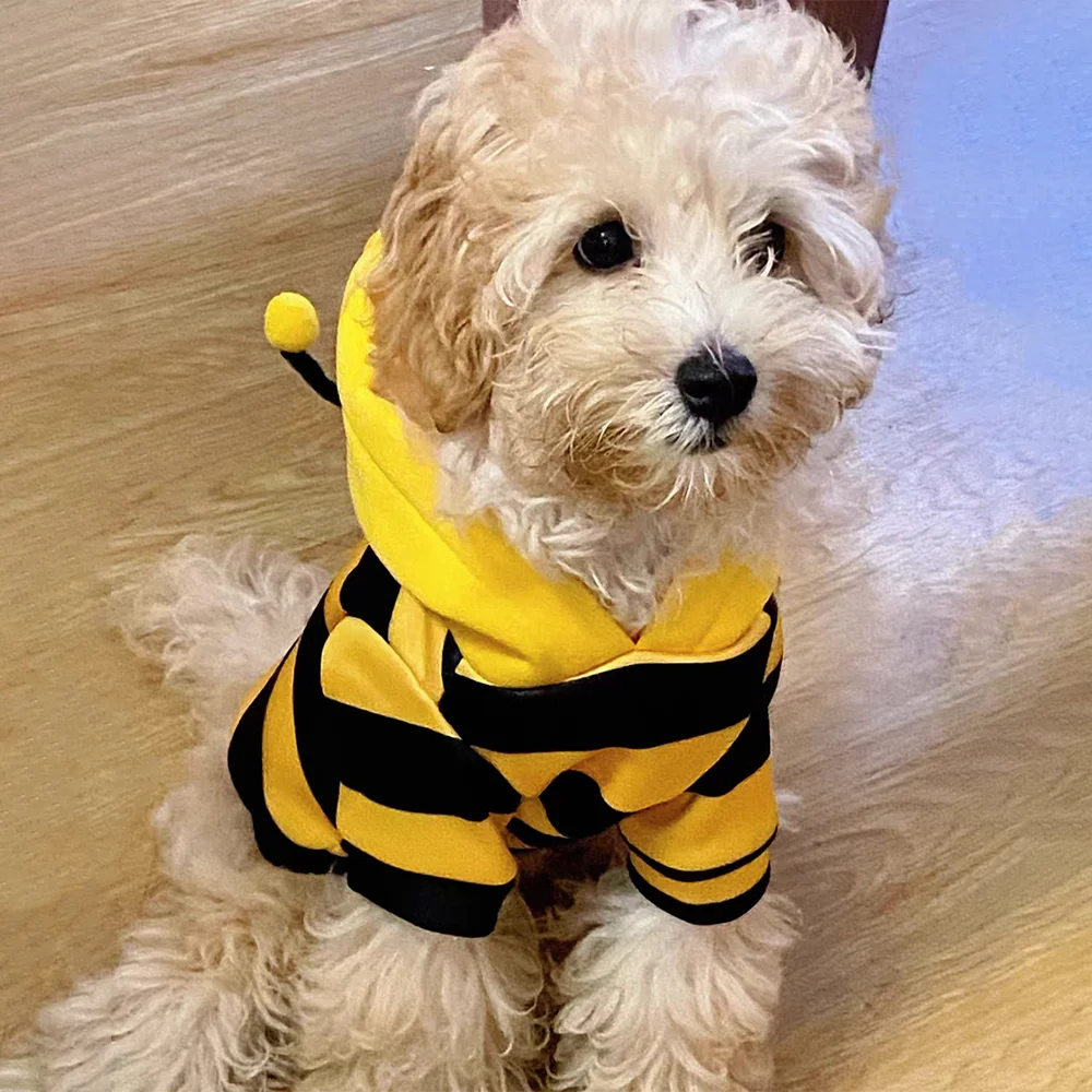 Costume d'Halloween pour animaux (chiens et chats) : sweat à capuche motif abeille – Tenue d'hiver pour petits et moyens animaux
