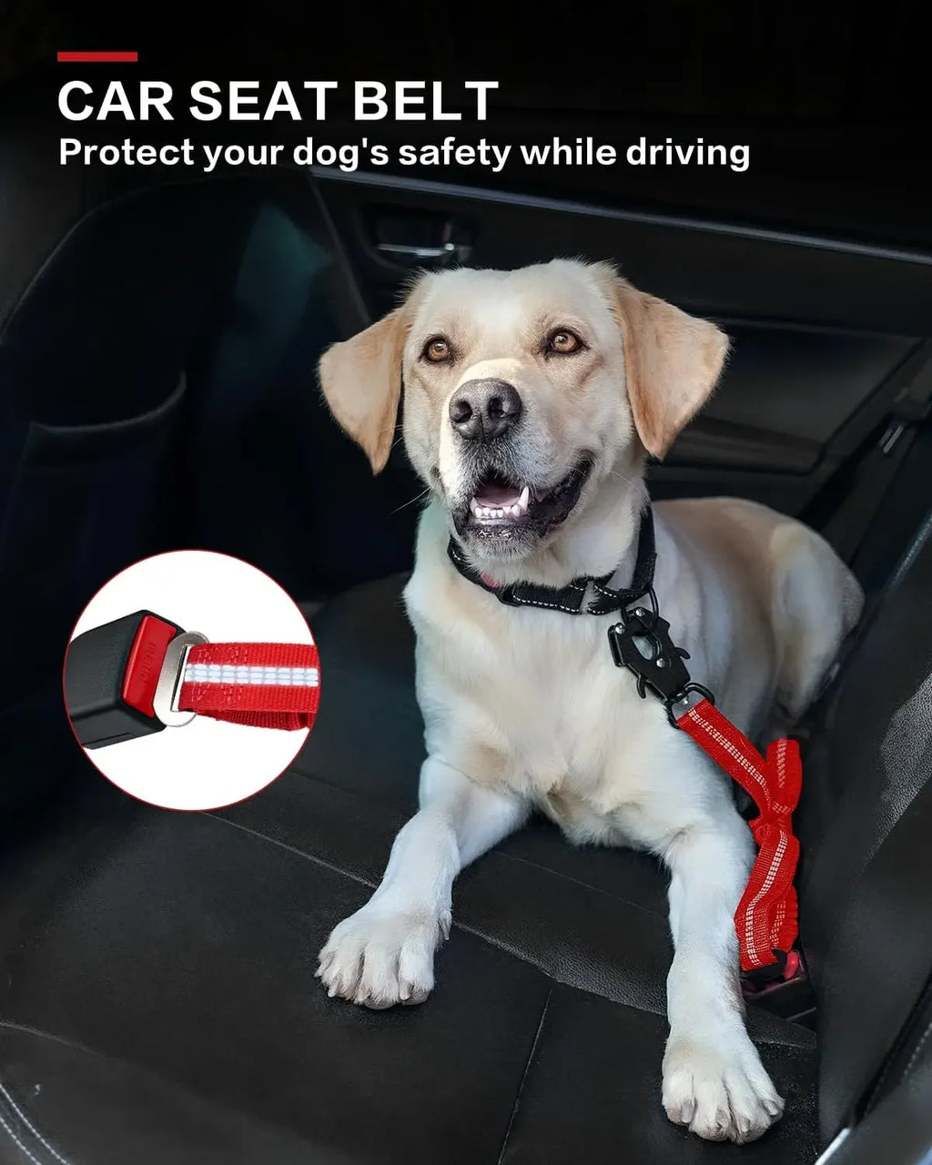 Laisse tactique pour chien ultra-résistante, extensible (1,2 à 1,8 m) avec système d'amortissement, dotée de 2 poignées rembourrées, d'un mousqueton en métal et d'une attache pour ceinture de sécurité de voiture