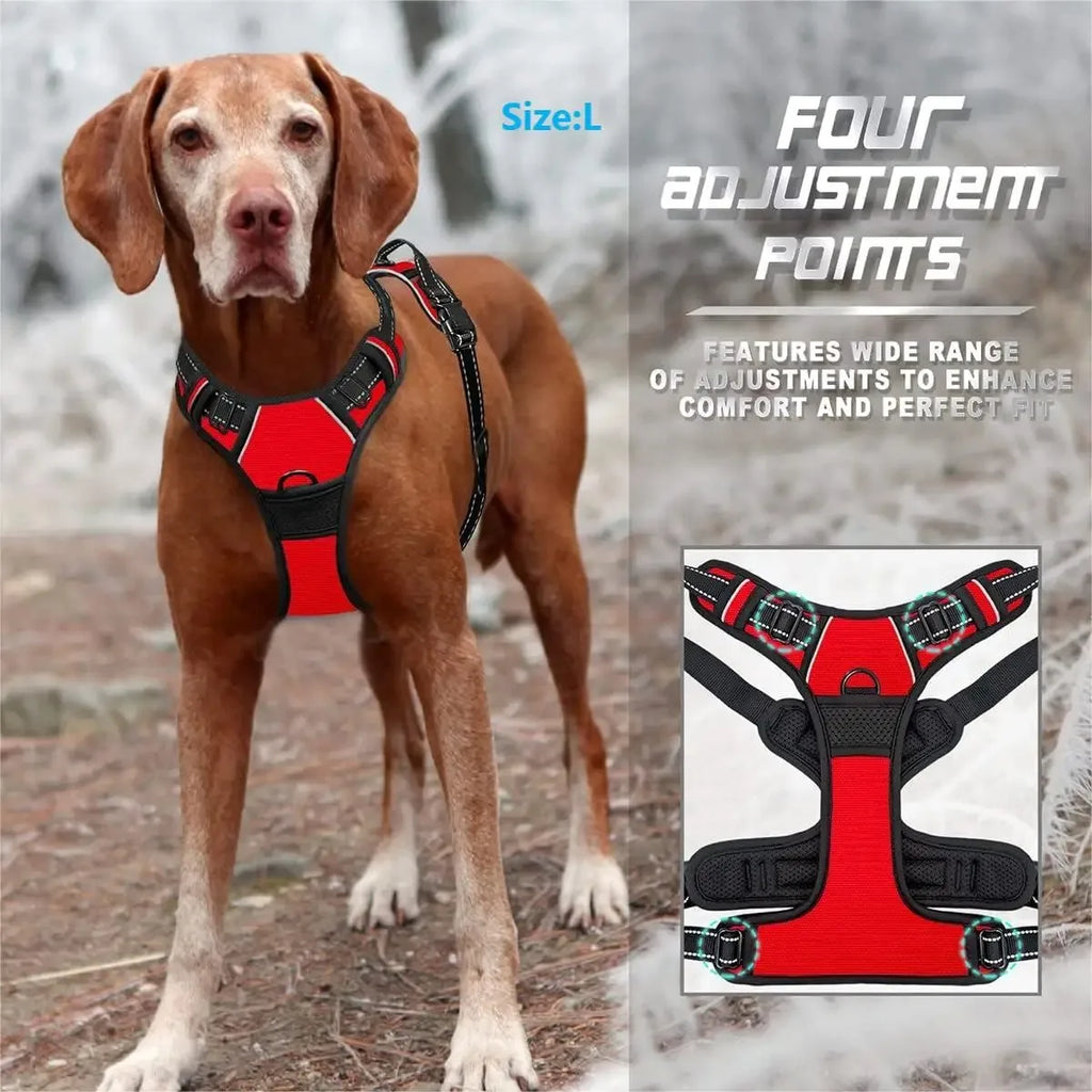 Colliers, harnais, laisses et accessoires pour chiens (toutes tailles) – Tout pour les chiens : cuir, modèles pour chiots, petits et grands chiens.