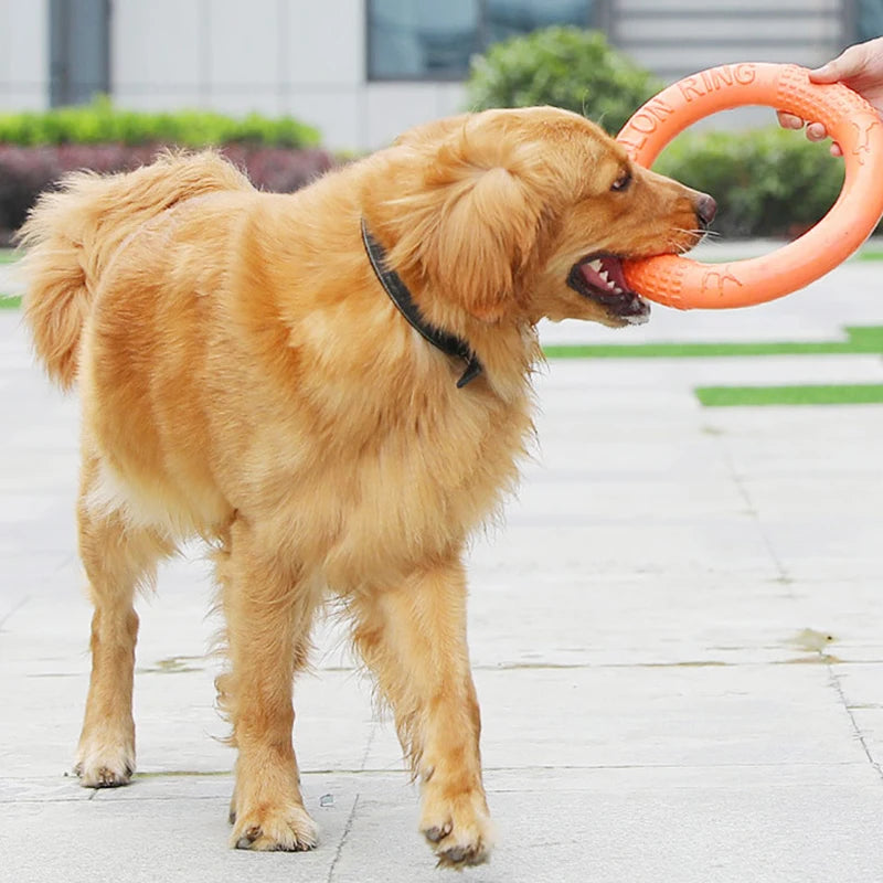 1 jouet orange pour chien – Anneau de traction volant et interactif en EVA pour le dressage, résistant