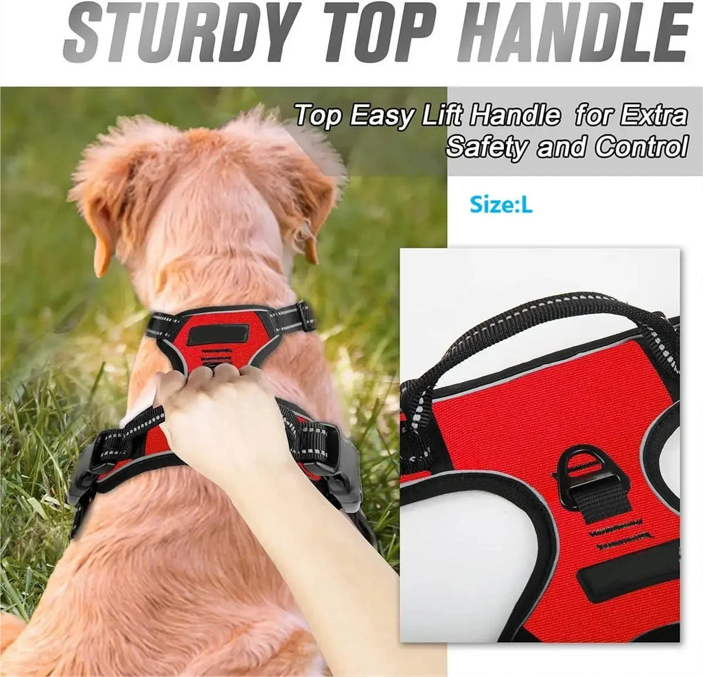 Colliers, harnais, laisses et accessoires pour chiens (toutes tailles) – Tout pour les chiens : cuir, modèles pour chiots, petits et grands chiens.