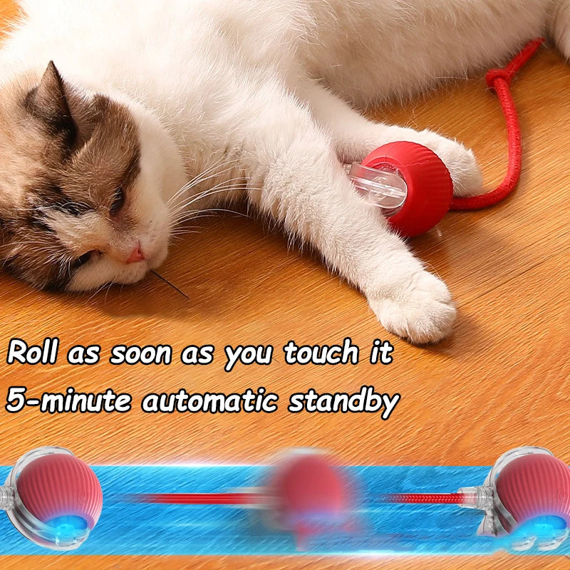 Nouveau jouet interactif pour chat : balle roulante automatique avec queue artificielle, rechargeable et intelligente, idéale pour le dressage des chiens et des chats (imite une souris)