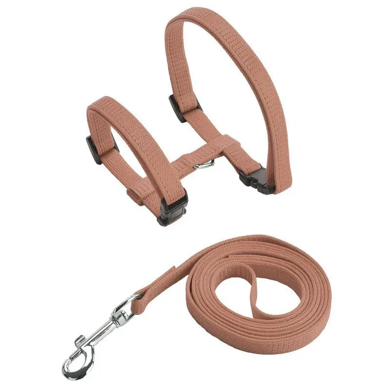 Ensemble harnais et laisse pour chaton – Harnais réglable en nylon anti-évasion pour chats, chiots et lapins – Accessoires pour animaux
