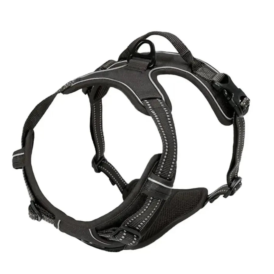 Colliers, harnais, laisses et accessoires pour chiens (toutes tailles) – Tout pour les chiens : cuir, modèles pour chiots, petits et grands chiens.