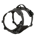 Colliers, harnais, laisses et accessoires pour chiens (toutes tailles) – Tout pour les chiens : cuir, modèles pour chiots, petits et grands chiens.