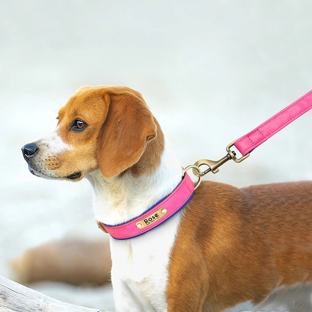 Ensemble collier et laisse en cuir personnalisés pour chien – Collier en cuir souple et rembourré pour chiens de petite, moyenne et grande taille – Plaque nominative gravée offerte