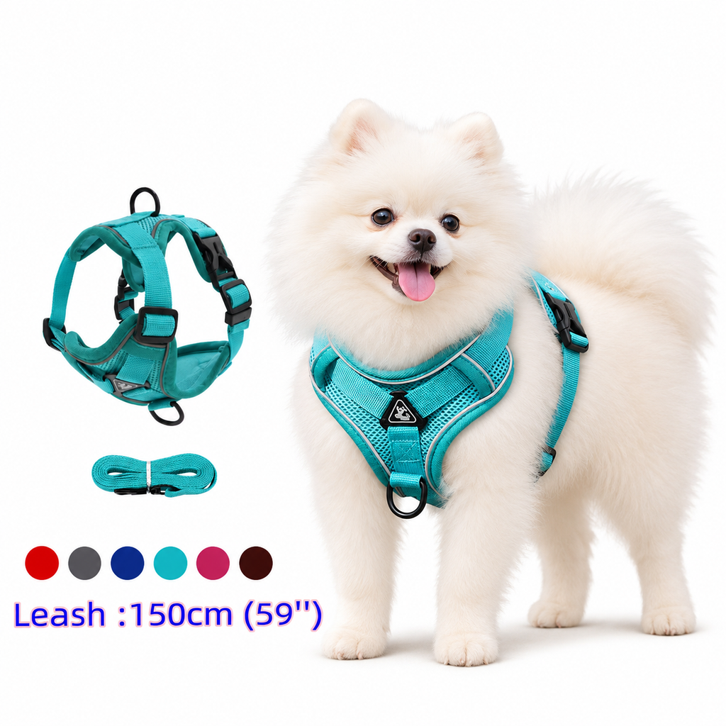 Ensemble harnais et laisse pour animaux – Harnais pour petits chiens